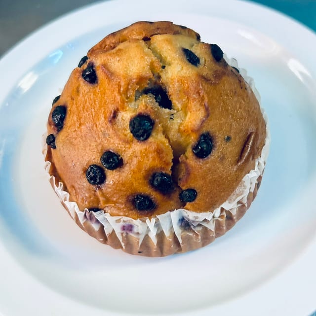Fresh Baked Muffin.
